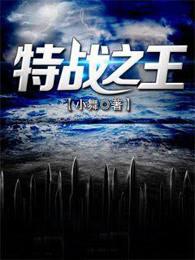 特战之王电视剧全集免费观看